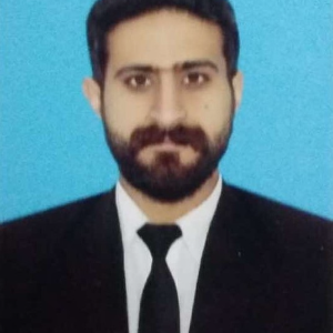 Advocate Hasnain  Ali